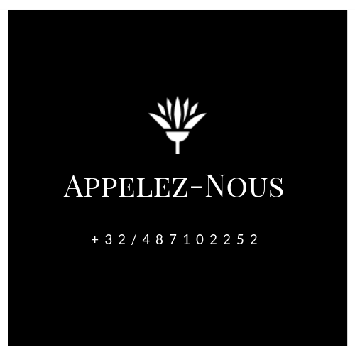 Appelez-nous