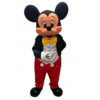 Costume-Mickey-1.jpg