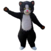 Mascotte-Chat-1.png
