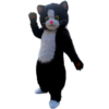 Mascotte-Chat-2.png