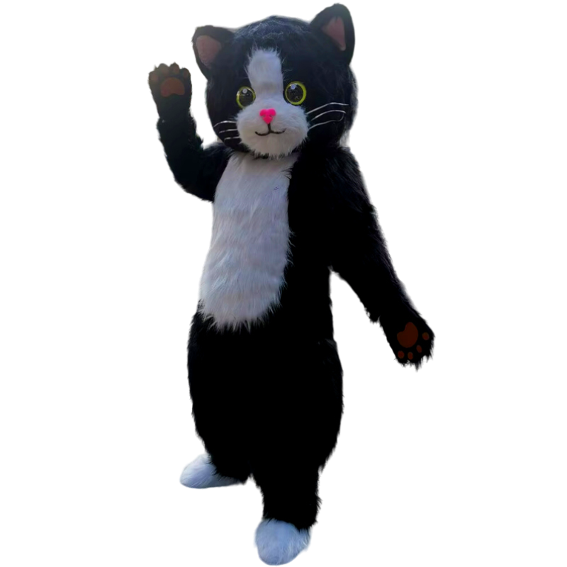 Mascotte-Chat-2.png Mascotte Chat 2 | The Luxury Box